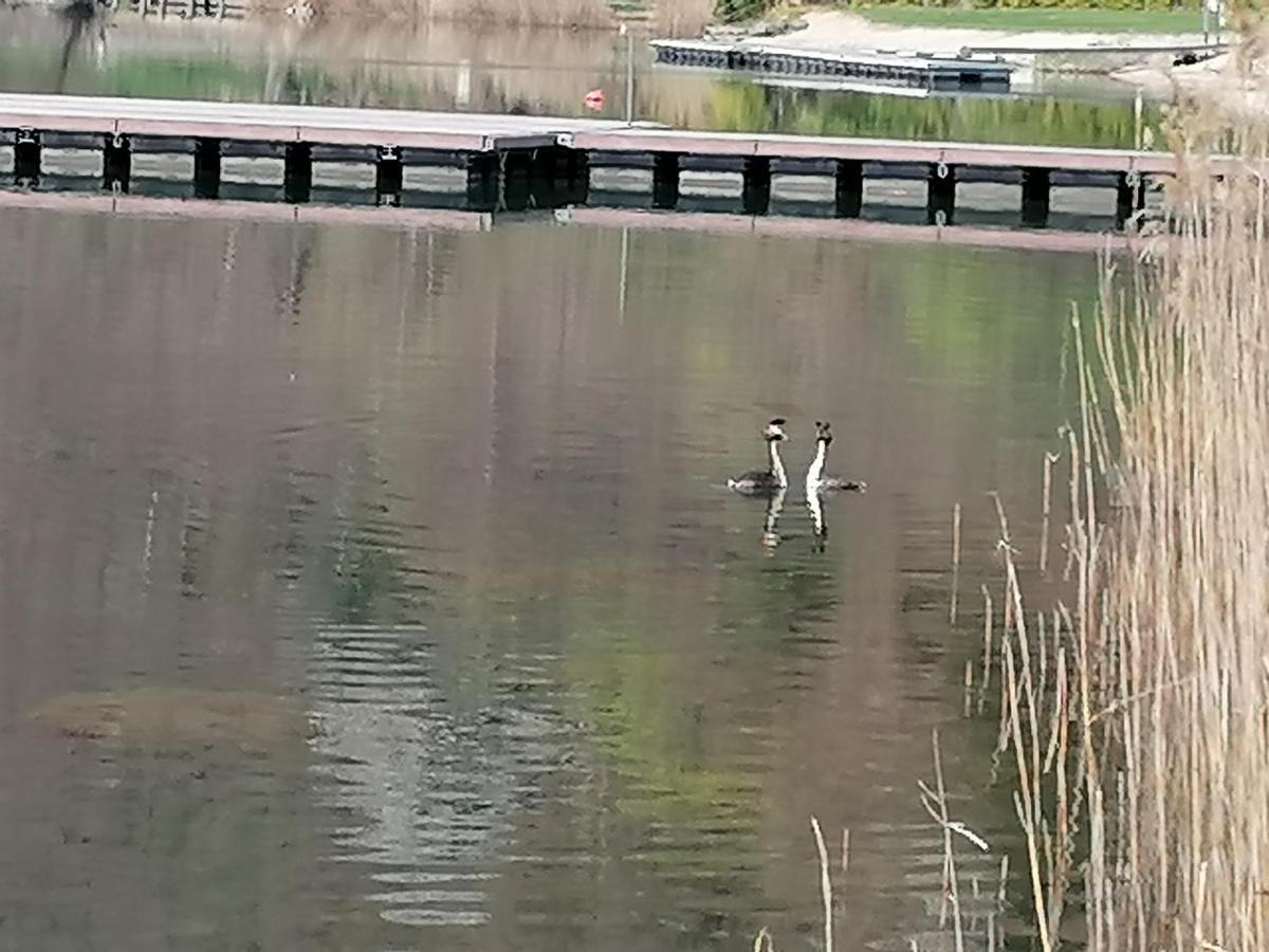 Ferienwohnung Ca' Dei Cigni Calceranica al Lago Exterior foto