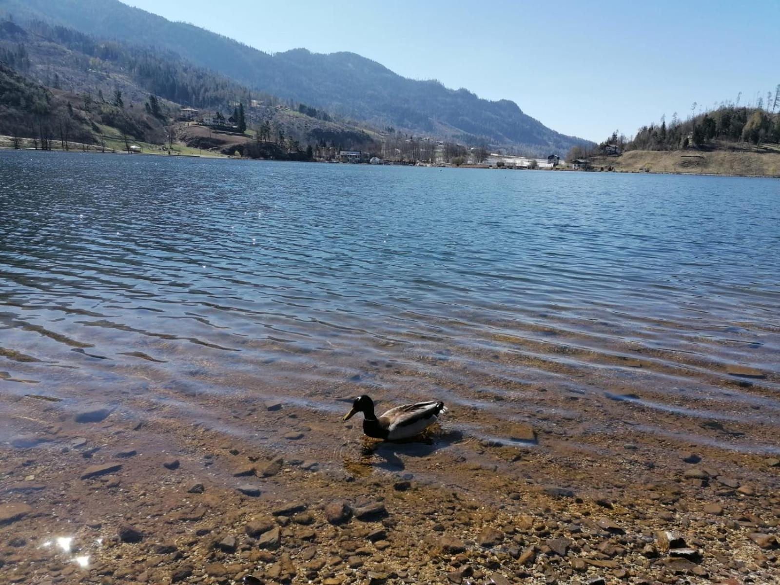 Ferienwohnung Ca' Dei Cigni Calceranica al Lago Exterior foto
